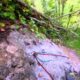 052 Rec Coma Rec Toll Ciuret Rocjumper