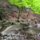 053 Torrent Bia Rec Toll Curet Rocjumper
