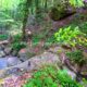 056 Rec Coma Rec Toll Ciuret Rocjumper