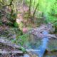 060 Rec Coma Rec Toll Ciuret Rocjumper