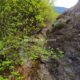 067 Barranc Vinyassa Cervoles Rocjumper