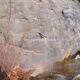 094 Barranc Vinyassa Cervoles Rocjumper