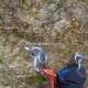 105 Barranc Sola Astell Rocjumper