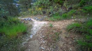 Bifurcación - Barranco del Arroyo de Cortes - Cortes de Pallás - RocJumper