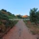 005 Gorges Riu Canaletes Horta Sant Joan Rocjumpe