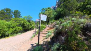 Pista aproximación - Barranc de la Fou - La Sènia - RocJumper