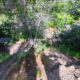 006 Barranco Nacimiento Millares Rocjumpe