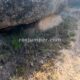 008-barranc-font-artic-claverol-rocjumper