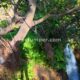 008 Barranco Nacimiento Millares Rocjumpe