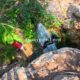 010 Barranco Nacimiento Millares Rocjumpe
