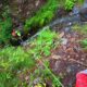 011 Barranc Barraonse Escalo Rocjumper