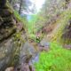 013 Barranc Barraonse Escalo Rocjumper
