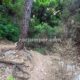 013 Gorges Riu Canaletes Horta Sant Joan Rocjumpe