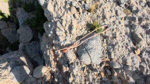 R1 - Barranc de la Font de l'Àrtic - Claverol - RocJumper