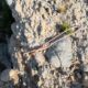 016-barranc-font-artic-claverol-rocjumper
