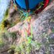 017 Barranco Arroyo Cortes Pallas Rocjumper