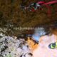 026 Barranc Sant Genis Diable Astell Rocjumper