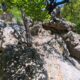 027 Barranc Fou Senia Rocjumper