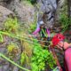 030 Barranc Barraonse Escalo Rocjumper