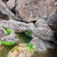 030 Gorges Riu Canaletes Horta Sant Joan Rocjumpe