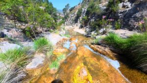 T8 - Barranco del Otonel - Dos Aguas - RocJumper