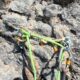 036-barranc-font-artic-claverol-rocjumper