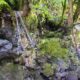 037-barranc-erta-castellas-rocjumper