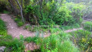 Sendero - Barranco del Arroyo de Cortes - Cortes de Pallás - RocJumper