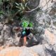 043 Barranco Nacimiento Millares Rocjumpe