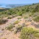 045-barranc-font-artic-claverol-rocjumper