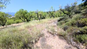 Retorno Almendros - Barranc de la Font de l'Àrtic - Claverol - RocJumper