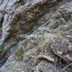 048 Barranc Fou Senia Rocjumper