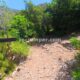 048 Barranco Nacimiento Millares Rocjumpe
