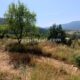 049-barranc-font-artic-claverol-rocjumper