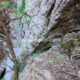 049 Barranc Fou Senia Rocjumper