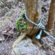050 Barranc Fou Senia Rocjumper
