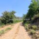 051-barranc-font-artic-claverol-rocjumper