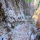 051 Barranc Fou Senia Rocjumper