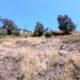 055-barranc-font-artic-claverol-rocjumper