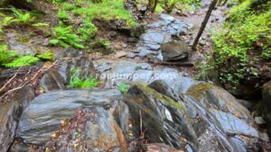 Destrepes - Barranc de Barraonse - Escaló - RocJumper