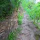061 Barranco Arroyo Cortes Pallas Rocjumper