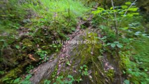 Sendero salida - Barranc de les Forques Inferior - Astell - RocJumper