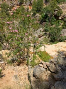 Retorno - Barranco del Otonel - Dos Aguas - RocJumper