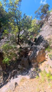 Escalera - Barranc de la Fou - La Sènia - RocJumper