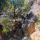 072 Barranc Fou Senia Rocjumper