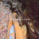 090 Barranc Sant Genis Diable Astell Rocjumper