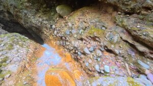 R12 - Barranc de Sant Genís y Diable - Erdo - RocJumper