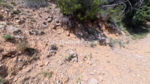 Desvío sendero - Barranc Rierol de Pratformiu - Sant Llorenç de Morunys - RocJumper