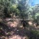 006 Barranc Rierol Pratformiu Sant Llorenc Morunys Rocjumper