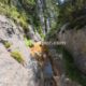 013 Barranc Rierol Pratformiu Sant Llorenc Morunys Rocjumper